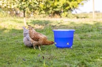 Găleată de adăpare pentru păsări Kerbl Hobbyfarming cu patru nipluri – Pentru pui și păsări de curte 5