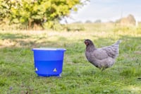 Găleată de adăpare pentru păsări Kerbl Hobbyfarming cu patru nipluri – Pentru pui și păsări de curte 4