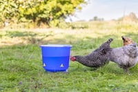 Găleată de adăpare pentru păsări Kerbl Hobbyfarming cu patru nipluri – Pentru pui și păsări de curte 7
