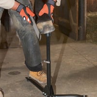Kerbl Hufbock EcoFlex 2 u 1 stalak za obradu kopita za konje 3