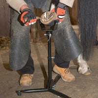 Kerbl Hufbock EcoFlex 2 u 1 stalak za obradu kopita za konje 4