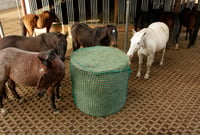 Kerbl okrúhla sieť na seno v balíkoch pre kone – priemer 150 cm, zelená, veľkosť oka 4,5x4,5 cm, polypropylén, s elastickým upevňovacím lanom 3
