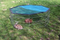 Kerbl Pet rozšíriteľný pozinkovaný kovový výbeh pre zvieratá s krytom a tienidlom - 8 dielov, 57x56 cm 4