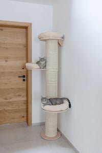 Ansamblu de cățărat pentru pisici Kerbl Pet Dolomit Tower - Ø 38 cm, înălțime 187 cm, culoarea bej 6