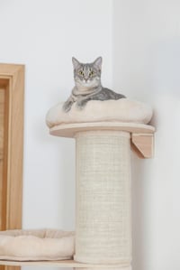 Ansamblu de cățărat pentru pisici Kerbl Pet Dolomit Tower - Ø 38 cm, înălțime 187 cm, culoarea bej 7