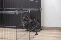 Kerbl Pet Hopsi kültéri ketrec 12 részes 35x35 cm rács - Outdoor enclosure 9