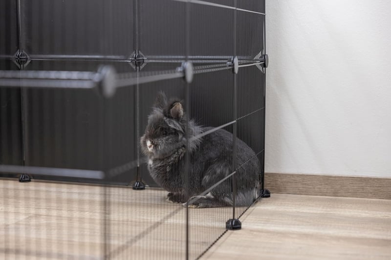 Kerbl Pet Hopsi kültéri ketrec 12 részes 35x35 cm rács - Outdoor enclosure