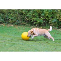 Hračka pre psov Kerbl Pet, loptička, žltá, Ø 30 cm, 800 g, plávajúca plastová loptička na zaháňanie pre veľké psy, odolná, vyrobená v Nemecku 2