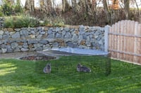 Țarc exterior pentru animale mici Kerbl Pet Milo cu capac, din grilaj metalic vopsit electrostatic, pentru iepuri și animale mici, țarc octogonal 6