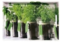 Tavă Kesper 77334 Herbs 50 x 35 x 4,5 cm - Tavă decorativă de servire pentru bucătărie 1