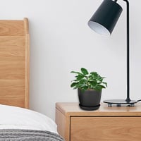 KINGLAKE 10 cm Virágcserép Szett 8 db Fekete Műanyag Tálcával Szukkulentákhoz 5