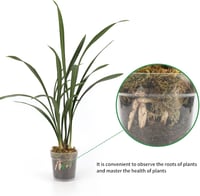 KINGLAKE 11,5 cm Orchidea Cserép Szett 6 db Átlátszó Műanyag Virágcserép Lecsapolónyílással 4
