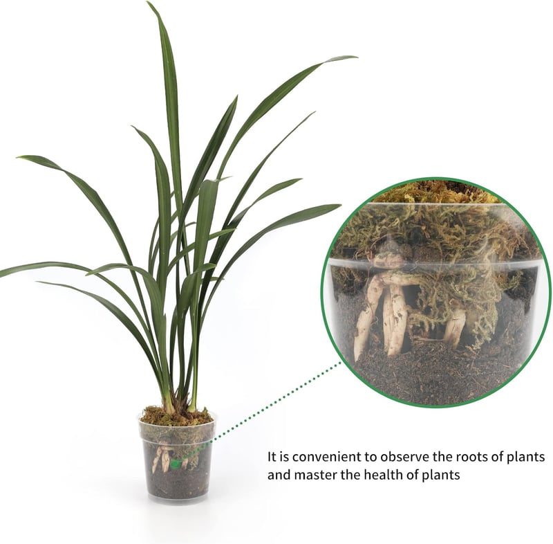 KINGLAKE 11,5 cm Orchidea Cserép Szett 6 db Átlátszó Műanyag Virágcserép Lecsapolónyílással