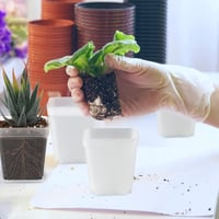 KINGLAKE 24 db 7 cm-es négyzet virágcserép tálcával, műanyag mini cserepe szukkulentz és magvetéshez 9