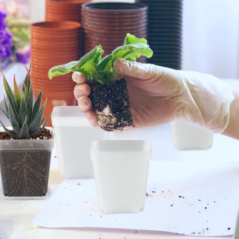 KINGLAKE 24 db 7 cm-es négyzet virágcserép tálcával, műanyag mini cserepe szukkulentz és magvetéshez
