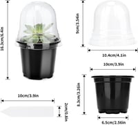 Tăviță pentru înmulțire KINGLAKE cu capac 10 cm, negru - 32 buc 2