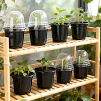 Tăviță pentru înmulțire KINGLAKE cu capac 10 cm, negru - 32 buc 5
