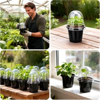 Tăviță pentru înmulțire KINGLAKE cu capac 10 cm, negru - 32 buc 6