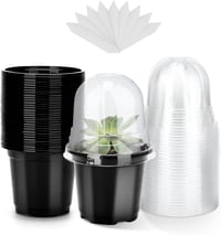 Tăviță pentru înmulțire KINGLAKE cu capac 10 cm, negru - 32 buc 1