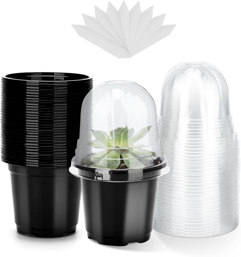 Tăviță pentru înmulțire KINGLAKE cu capac 10 cm, negru - 32 buc