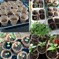 KINGLAKE 50 db 8 cm kerek biodegradálható magvetési cserepe + 50 db fehér növénycímke szett 6