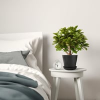 KINGLAKE 8 darabos 10 cm-es virágcserép szett fekete tálcával kaktuszhoz 4
