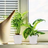 KINGLAKE 8 darabos színes mini virágcserép szett 10 cm-es kerti növénytartó 5