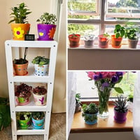 KINGLAKE 8 darabos színes mini virágcserép szett 10 cm-es kerti növénytartó 4