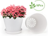 KINGLAKE 8 darabos színes mini virágcserép szett 10 cm-es kerti növénytartó 6