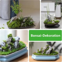KINGRUI Seiryu Rock Dragon Stone 5kg akvárium kő akvaristák számára 5