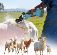 Foarfecă electrică de tuns oi Kocusu compatibilă cu acumulator Makita 18V, 550W, 3000 rpm, cu 2 lame, în cutie de plastic, fără acumulator, pentru oi, alpaca și capre 7
