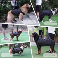 Kokoie kutyaemelő hám teljes testhez, rehabilitációs sling idős és sérült kutyáknak 4