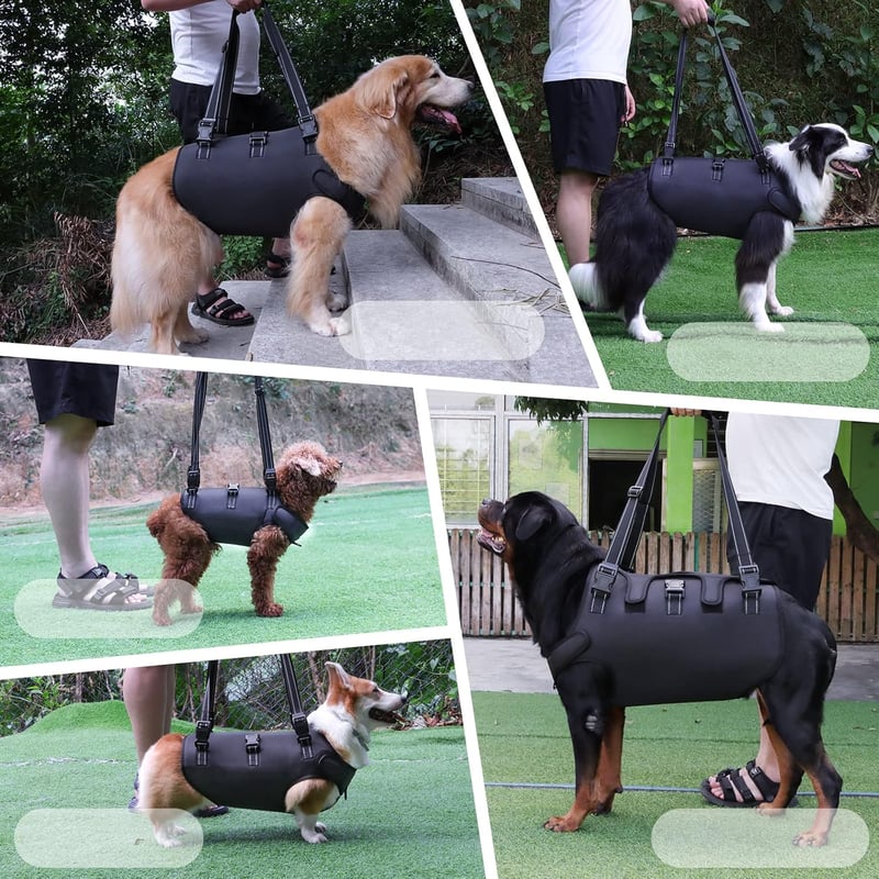 Kokoie kutyaemelő hám teljes testhez, rehabilitációs sling idős és sérült kutyáknak