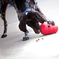 KONG Wobbler Kutyajáték Tölthető Jutalommal Kicsi Piros 2