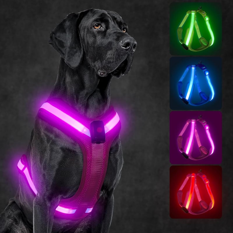 KOSKILL LED Kutyahám Töltöthető Fényvisszaverő XL Kék