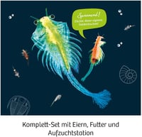 Kosmos Prehistorické kraby – Experimentálna súprava pre deti od 8 rokov – Vajíčka, krmivo, nádržka, pipeta a príslušenstvo 4