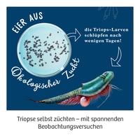 Kosmos Triops World 633073 Tudományos Kísérletező Készlet Ősrákokkal - Extra Nagy Medencével, Komplett Szett 3