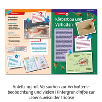 Kosmos Triops World 633073 Tudományos Kísérletező Készlet Ősrákokkal - Extra Nagy Medencével, Komplett Szett 4