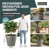 Ghiveci XXL Kreher cu roți, diametru 79 și 58 cm, jardinieră mare maro pentru flori și arbori, de interior și exterior 5