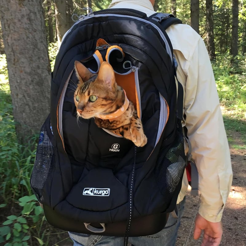 Kurgo G-Train kutyahátizsák integrált kisállat rekesszel, vízálló alappal, fekete, 11 kg-ig