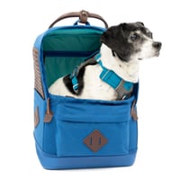 Batoh na prenášanie psa Kurgo Nomad Carrier – modrý 3