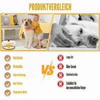 KUWUNG Lapač bĺch do domácnosti, 2 ks, so 6 žiarovkami a 8 lepiacimi doskami, elektrický lapač bĺch do obývačky, spálne, detskej izby, kuchyne 5