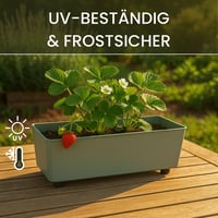 LAMELA Téglalap alakú virágcserép 37x17 cm, 6L, szürke-zöld, időjárásálló 3