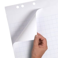 LANDRÉ Flipchart papier štvorčekový 20 listov/blok 6 dier 5 blokov/balenie 4