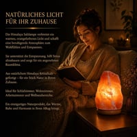 LANDSTER Soľná kryštálová lampa, prírodná ružová himalájska soľná nočná lampa, stolová lampa z pakistanskej soľnej bane, 2-3 kg 4
