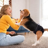 Lanjue 3 bucăți Scutece reutilizabile pentru cățelușe, chiloți lavabili pentru perioada de călduri, negru, mărimea M (40-50 cm), pentru incontinență și utilizare prelungită 8