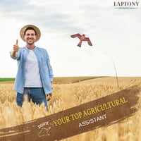 Laptony Madárriasztó Sárkány Kerti Farmvédelem Ragadozó Madár Elriasztó 7