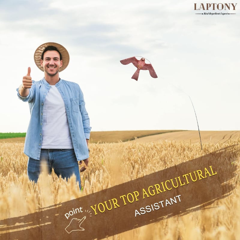 Laptony Madárriasztó Sárkány Kerti Farmvédelem Ragadozó Madár Elriasztó
