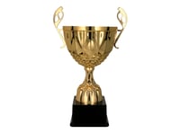 Larius metalni trofej s gravurom - zlatni i srebrni - veličina S 1