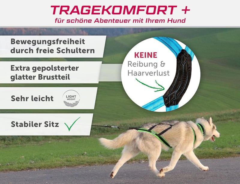 LASALINE Kutyahám X-Back Canicross Bikejoring Szánhúzás Fekete-Világoskék